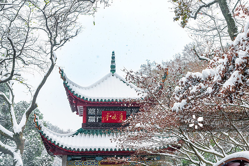 飞雪,风雪,爱晚亭,湖南,岳麓山,冬天图片素材