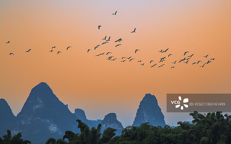 广西漓江兴坪图片素材