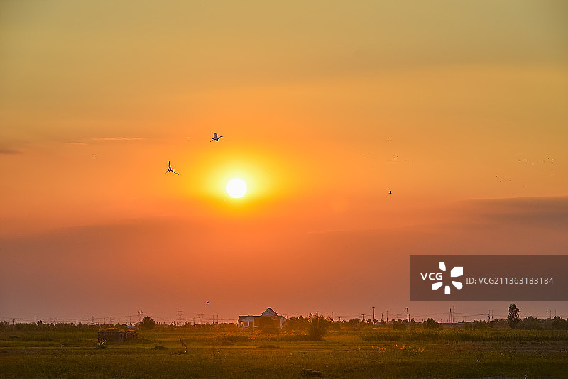 两只白鹭上云天图片素材