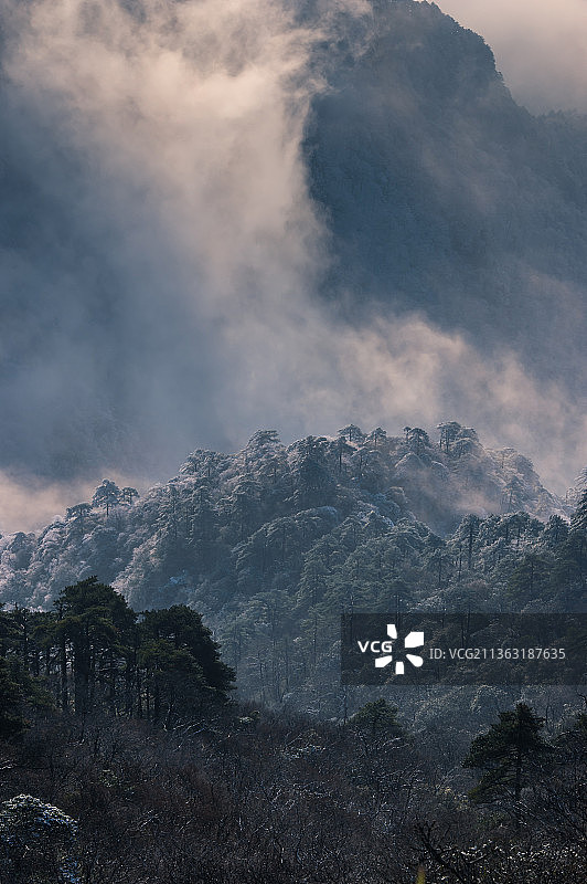 冬季里的大山雪景雾松清凉峰黄山图片素材