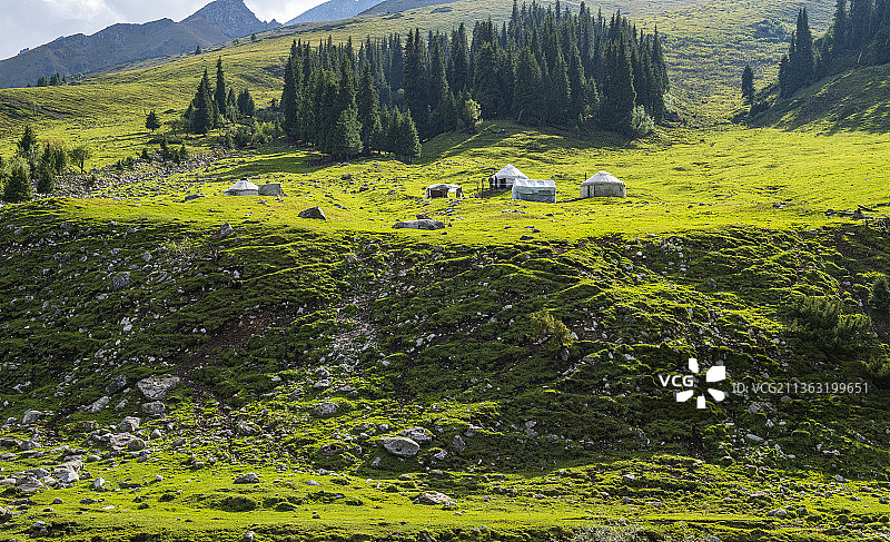 新疆：八月行走在那拉提草原图片素材