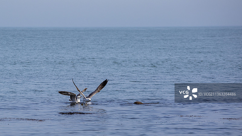 山东长岛九丈崖半月湾图片素材