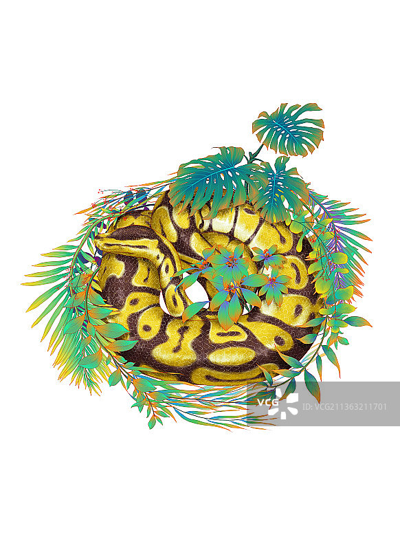 蜷缩的蛇图片素材