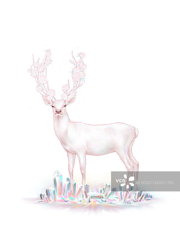 站立的鹿图片素材