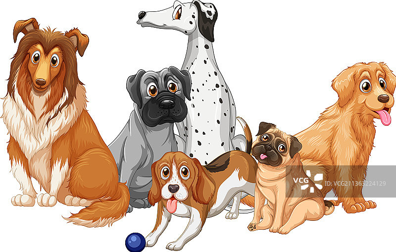 白色背景上的一群犬种图片素材