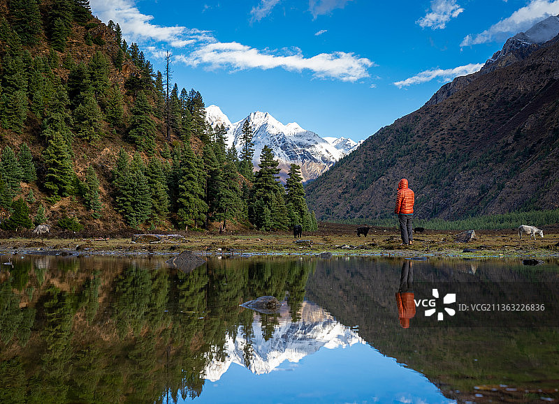 尼泊尔多尔帕舍伊福克斯顿多国家公园的清晨图片素材