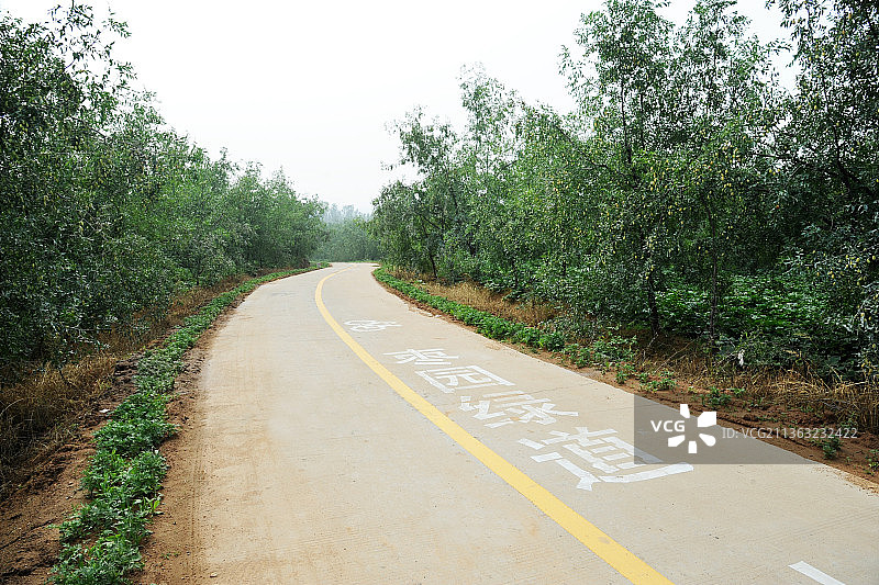 山东枣庄山亭区枣园绿道图片素材