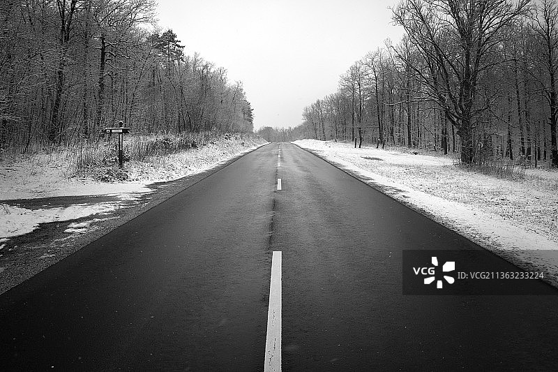 空旷道路，四周是光秃的树木图片素材