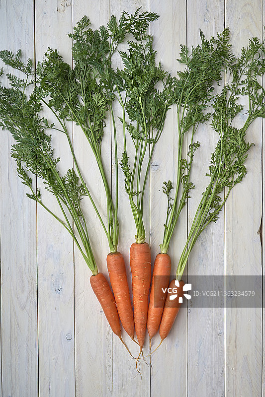 白色木质背景上的新鲜胡萝卜和绿叶图片素材