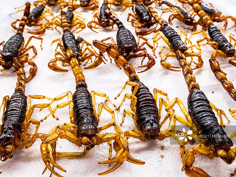 出售新鲜蝎子的街头市场图片素材