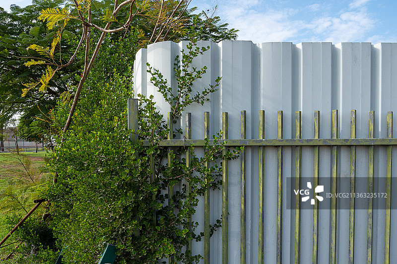 缠绕着绿色植物的白色金属栅栏图片素材