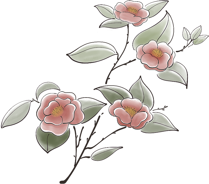 山茶花图片素材