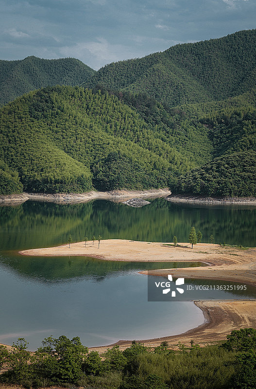 南方有嘉木图片素材