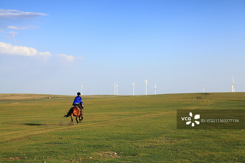 内蒙古辉腾锡勒草原图片素材