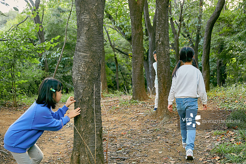 儿童在树林里捉迷藏图片素材