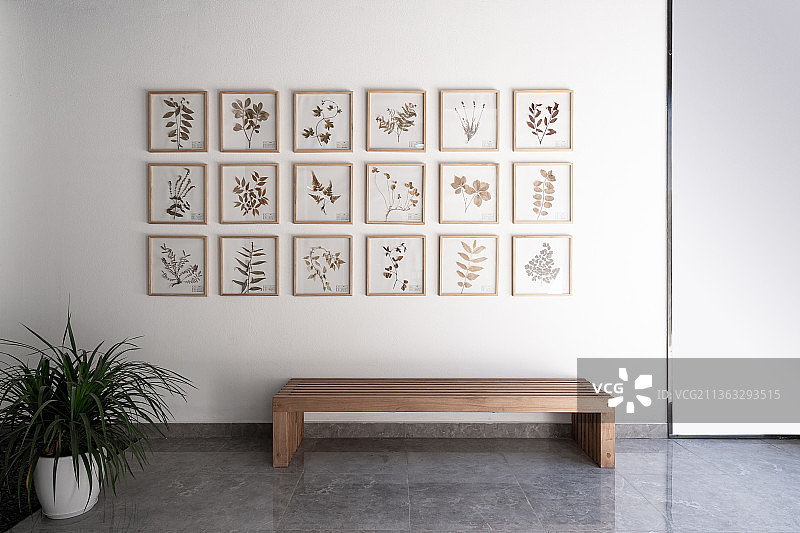 木制长凳和植物标本的墙面图片素材