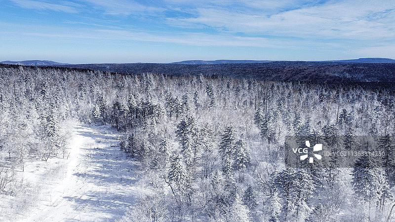 冬季森林航拍景观图片素材