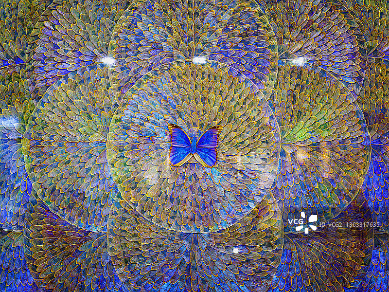 西北林业大学博览园图片素材