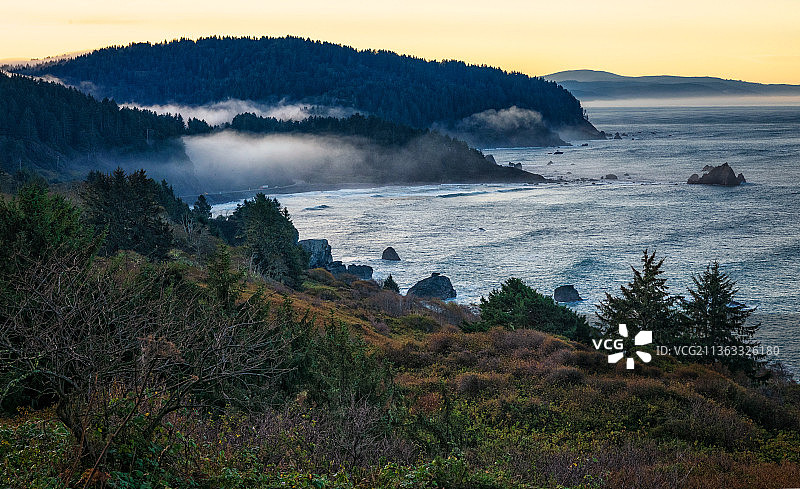 克拉马斯海湾的雾气清晨日落美景图片素材