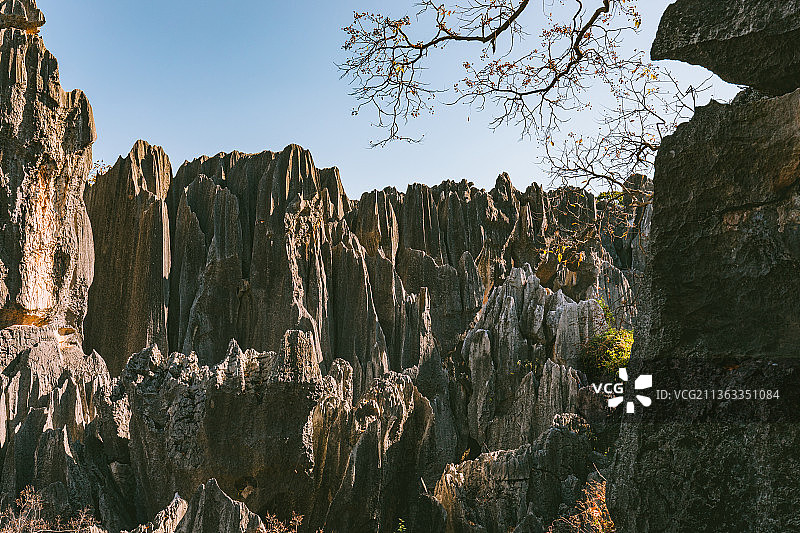 中国云南省昆明市石林县石林风景区风景图片素材