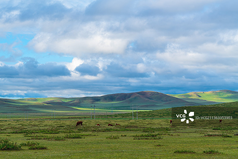 内蒙古锡林郭勒大草原风光图片素材