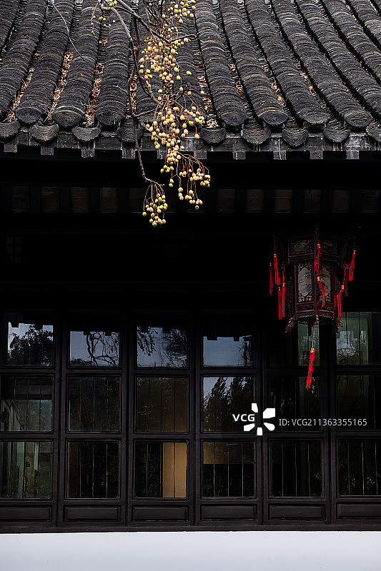 冬季扬州史公祠的楝树（苦林子）与传统建筑图片素材