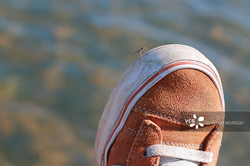 鞋子探索者：穿着鞋子的人的下半身图片素材