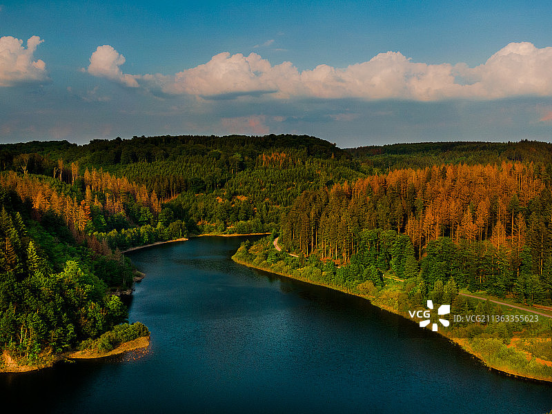 德国哈根：河流穿梭于树木间的空中景观图片素材