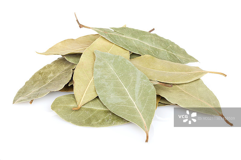 白色背景上的干燥香叶特写图片素材