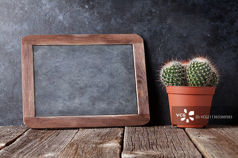 仙人掌和黑板，桌面上盆栽植物的黑板特写图片素材