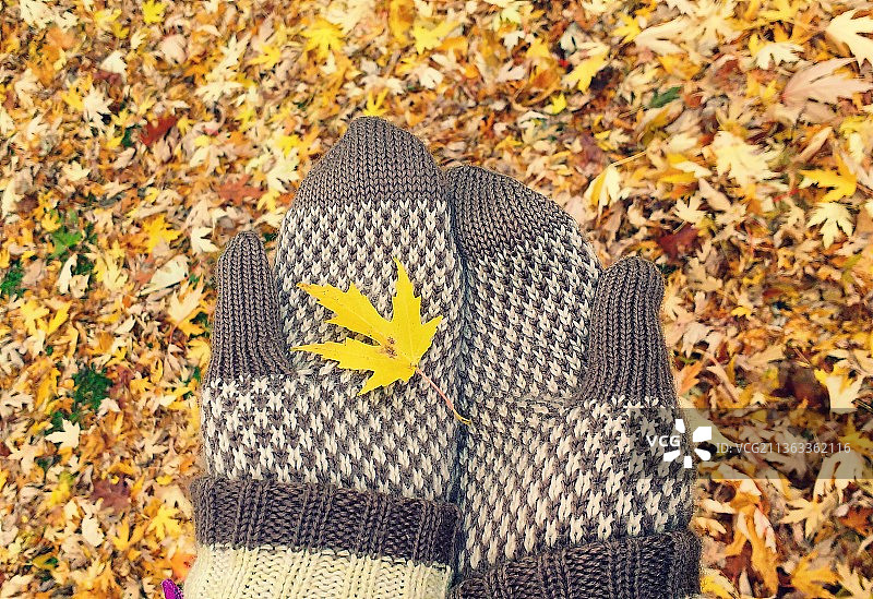 田野上的秋叶鸟瞰图图片素材