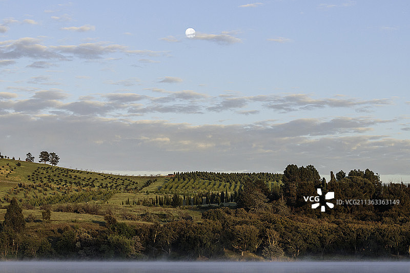 澳大利亚国家植物园、伯利格里芬湖上空的月亮，澳大利亚首都堪培拉，2021年10月图片素材