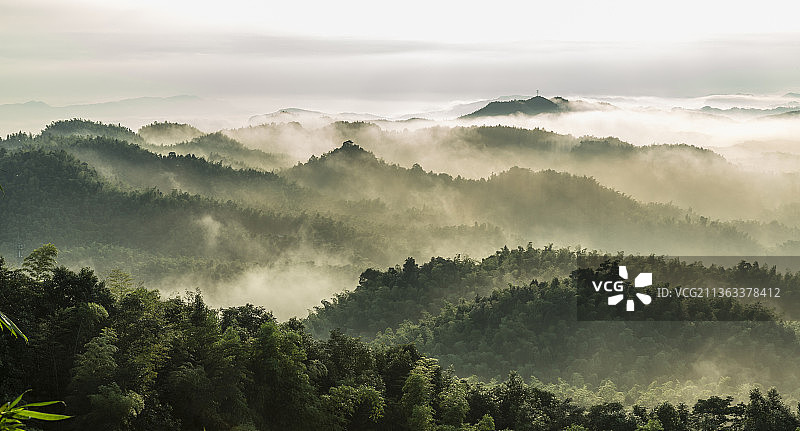 云雾山中——宜宾蜀南竹海风光图片素材