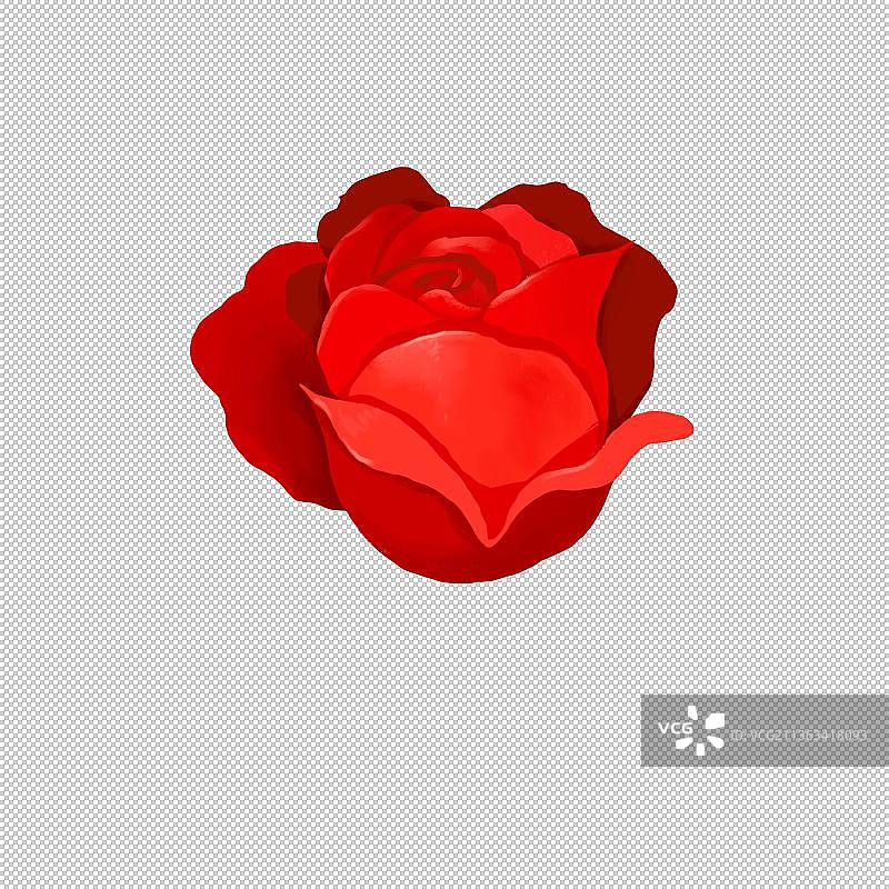 春节插画红色鲜花元素图片素材