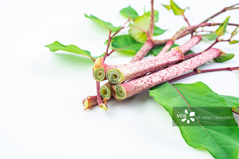 白背景上的新鲜野菜酸筒杆图片素材