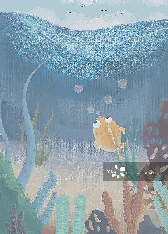 海底世界图片素材