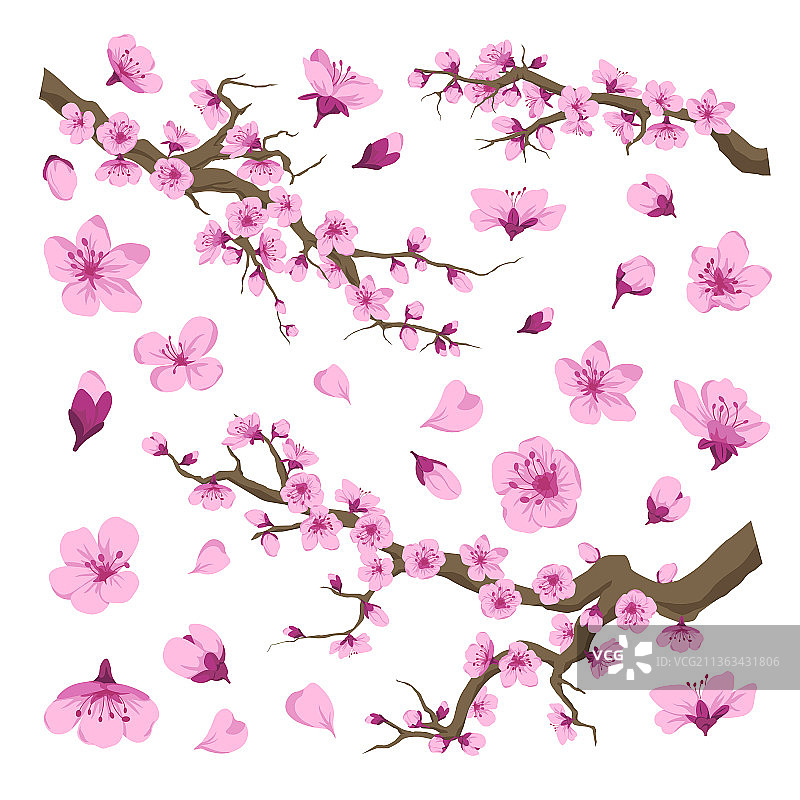 樱花图案图片素材