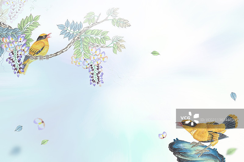 黄鹂鸟图片素材
