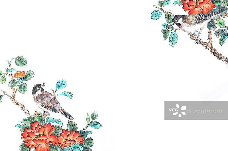 沼泽山雀图片素材