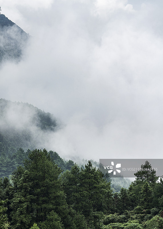 重庆万盛黑山谷晨雾图片素材