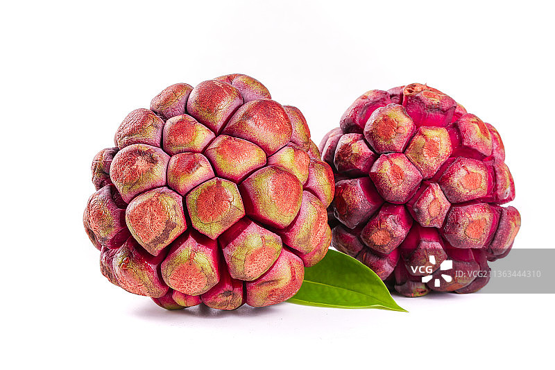 白底上的美容长寿果图片素材