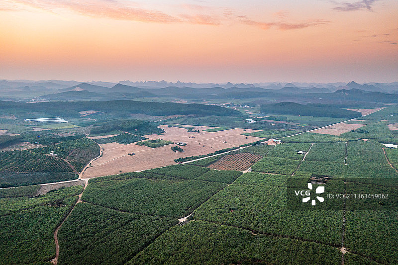 2021年12月，广西崇左市扶绥县东门镇山地甘蔗农作物航拍风光图片素材