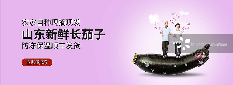 大气简约山东新鲜长茄子宣传banner图片素材