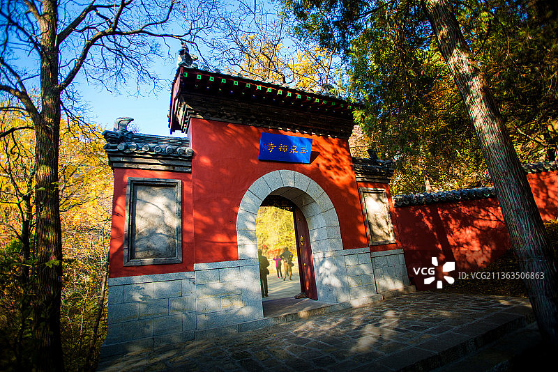 泰山玉泉寺秋天图片素材