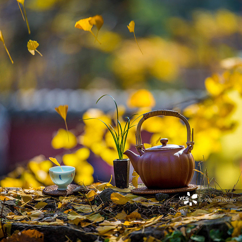 泰山玉泉寺秋天图片素材