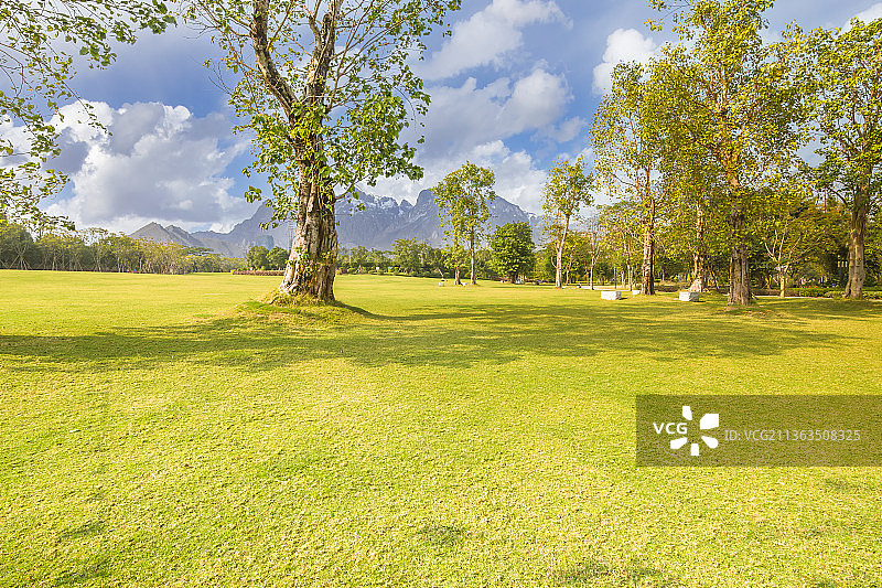 大草坪景观图片素材
