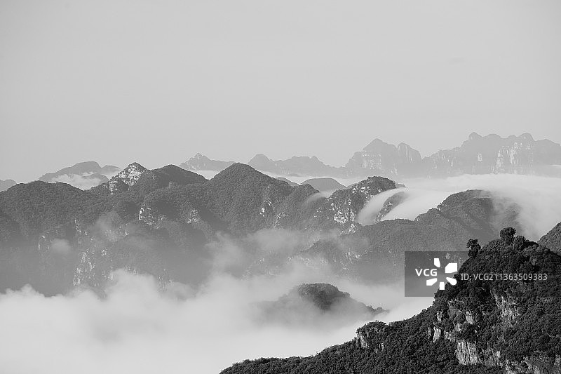 《莲花-雾池》图片素材