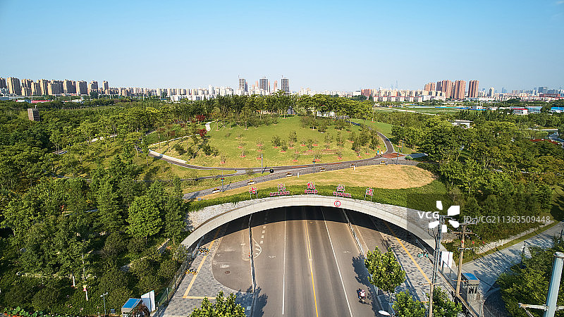 桃浦中央绿地图片素材