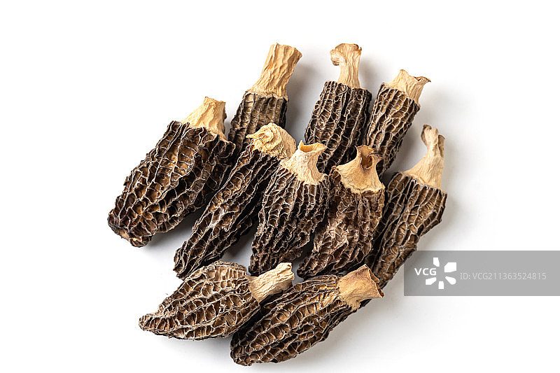 滋补食材羊肚菌图片素材