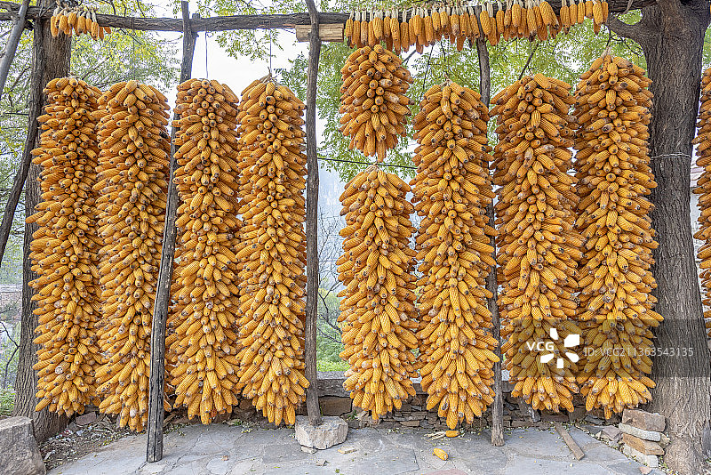 河南省林州市石板岩乡秋天太行大峡谷风景区与龙潭沟大瀑布图片素材
